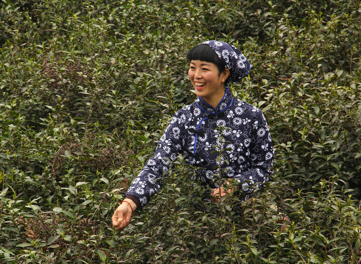 百丽直播5589入口 热门7